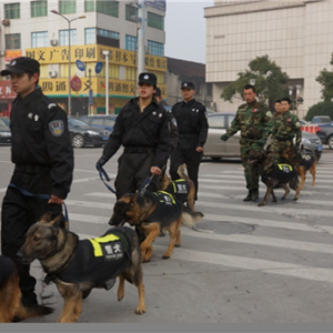 企業(yè)風(fēng)采