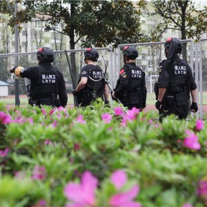 企業(yè)風(fēng)采